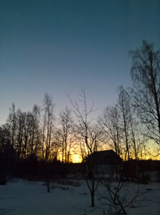 Soluppgång över ett snötäckt landskap med silhuetter av träd och byggnader.