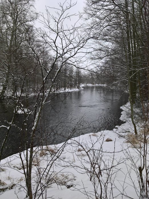 En isig bäck omgiven av snötäckta träd och mark under en molnig himmel, vilket skapar en vintrig känsla.