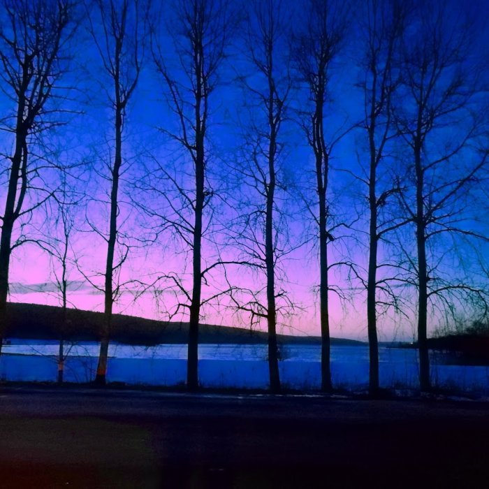 Morgonvy med siluetter av träd mot en färgstark himmel över isbelagd Nedre Fryken från Nilsbybron.