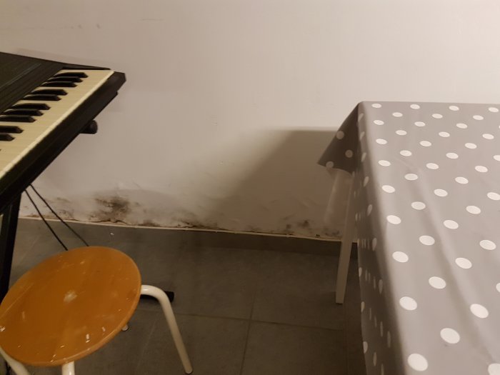 Vattenskador synliga längs källarvägg och golv med mögel och fuktfläckar intill ett dukklädd bord och en orange stol.