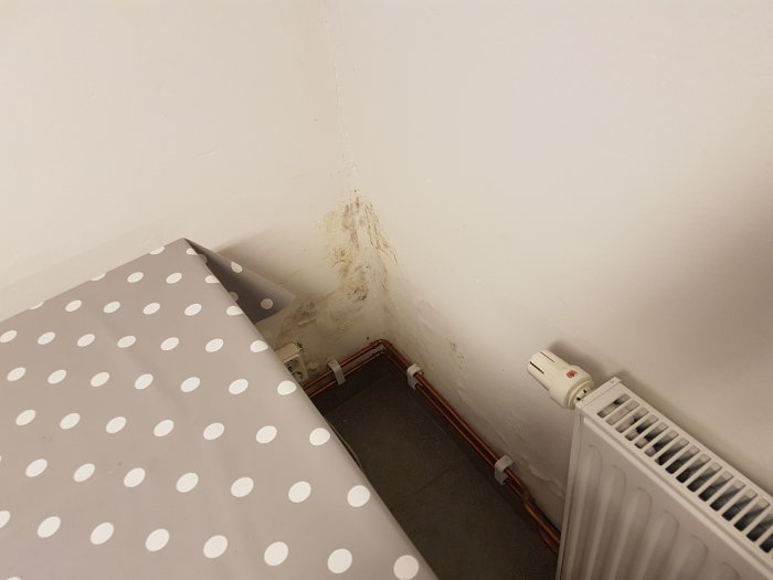 Vägghörn i källare med fuktskador och avflagningar nära golv och radiator.
