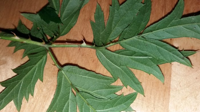 20180128_204515.jpg