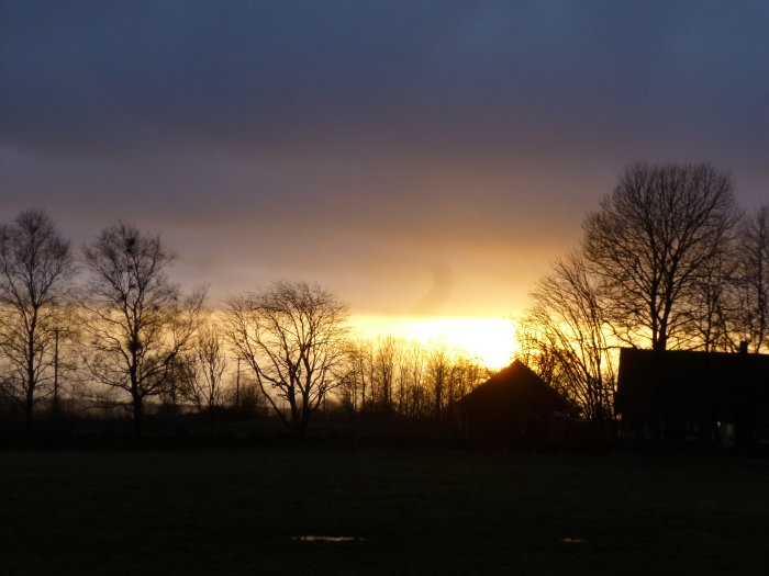 Solnedgång med träd och landskap, inget hav, hus silhuetter mot ljus himmel.