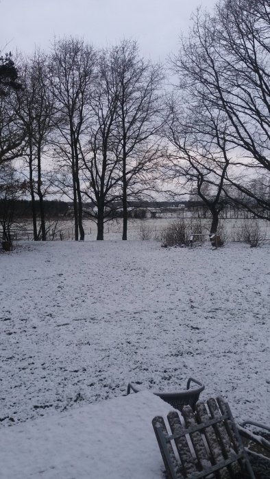 Vinterlandskap med snötäckt gräsmatta, nakna träd och en snööverdragen utemöbel.