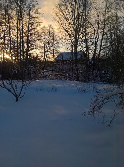 Vinterscen med snötäckt mark och träd vid soluppgång, ett hus i bakgrunden.