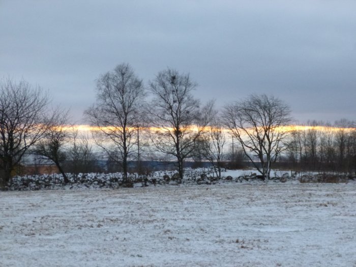 Dimmigt vinterlandskap med snö och träd silhouette mot en ljusstrimma på himlen över Hallandsåsen.