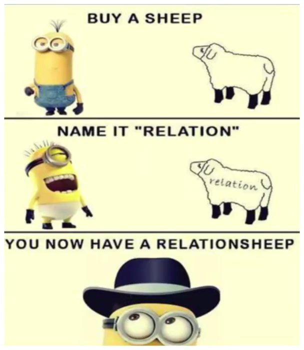 Humoristisk bildserie med Minion-figurer som illustrerar ordleken "relationsheep", börjande med att köpa ett får till att namnge det "Relation".