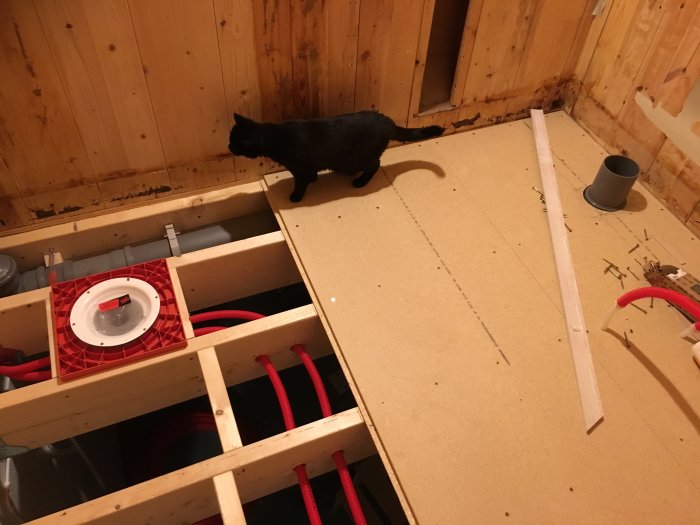 Svart katt inspekterar ett nyinstallerat 22mm golvspån i ett badrum under renovering, med synliga rör och avlopp.