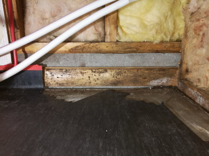 Träregel med mögelspår direkt på betongmur i en tvättstuga under renovering.