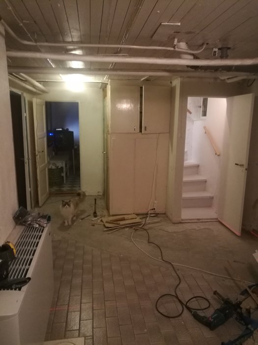 IMG_20180207_170206.jpg