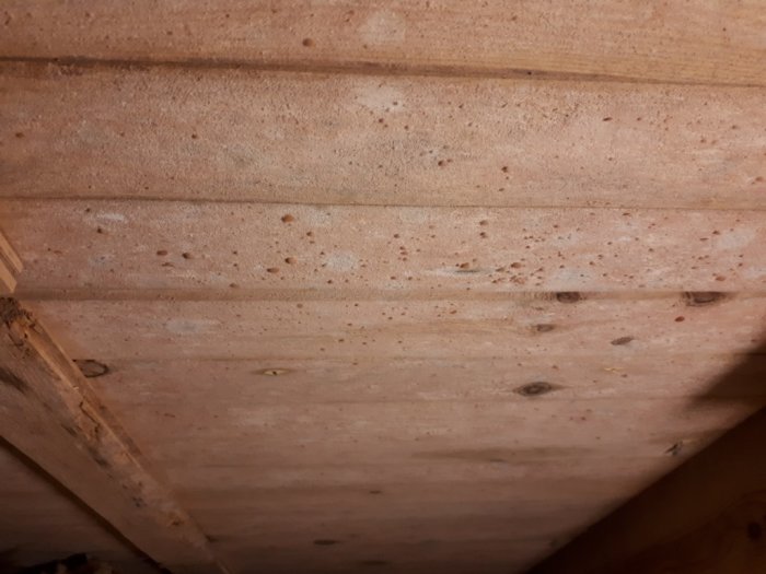 Rosa-beige fluffig mögelpåväxt på träbjälkar i vindsmiljö.
