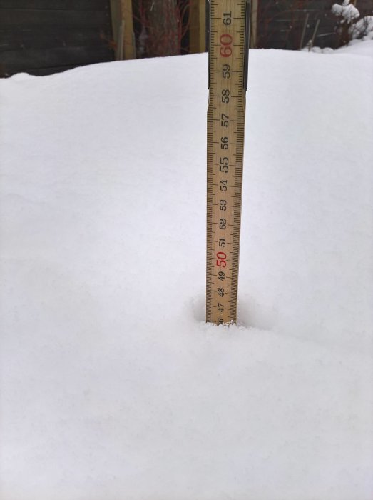 Måttstock stående i snö visar snödjupet i en trädgård, indikerar snart barmark.