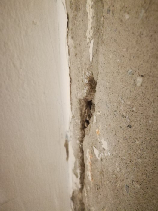 Spricka i en källarvägg där reparation behöver göras, med synlig armering och avflagat material.