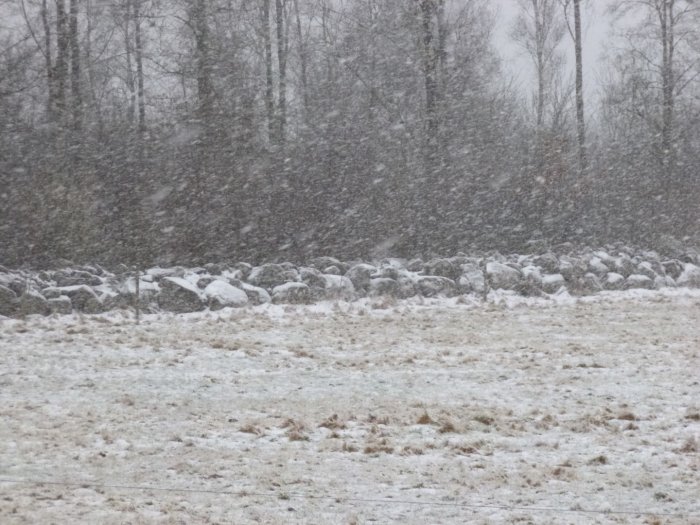 Snöfall över ett vinterlandskap med snötäckt mark och stenmur, utan synlig himmel.