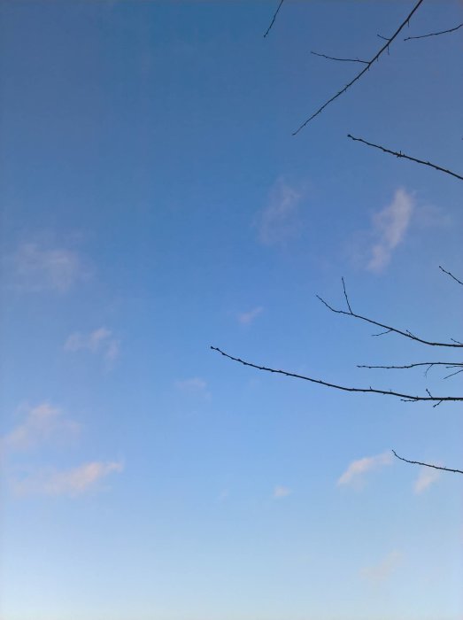 Nästan molnfri himmel med grenar i förgrunden och moln på horisonten som liknar berg.