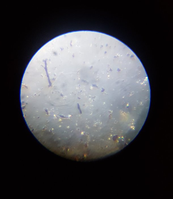 Mikroskopbild av ett prov från eternitskiva belyst med polariserat ljus som visar ljusa och mörka partier.