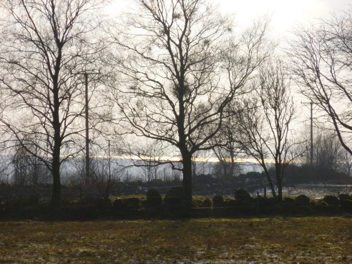 Utsikt från trädgårdsdörren med nakna träd och en glimt av Laholmsbukten i bakgrunden.