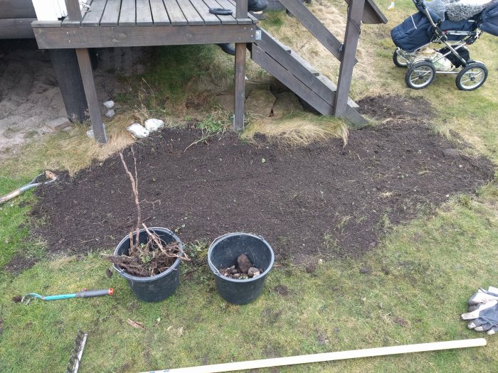 Nyplanterad gräsplätt och förberedd jord med trädgårdsredskap och barnvagn i bakgrunden.