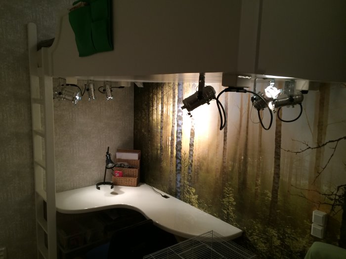 Hemmagjord smal stege av furu möbelplywood i ett trångt rum med skrivbord och skogstapet.