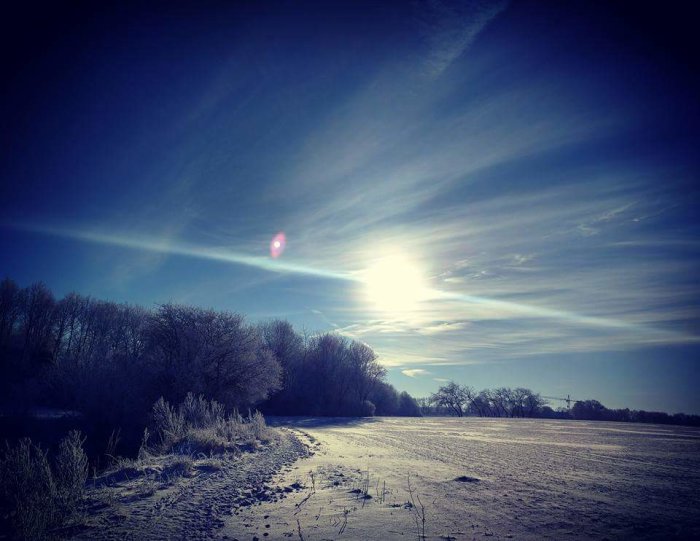 Vinterlandskap med solen som skiner över frosttäckt mark och träd.