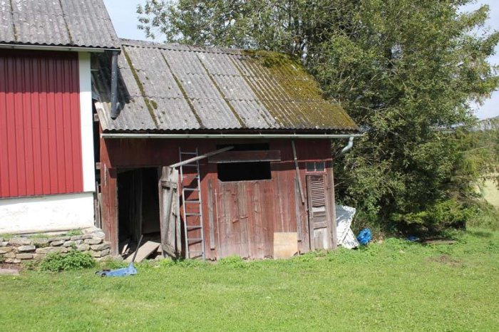 Gammal vedbod med sliten panel och mossa på taket, i renoveringsprocess.