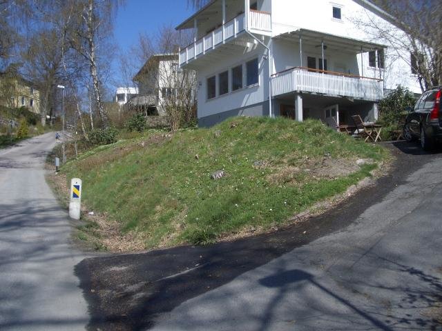 IMGP2736.jpg
