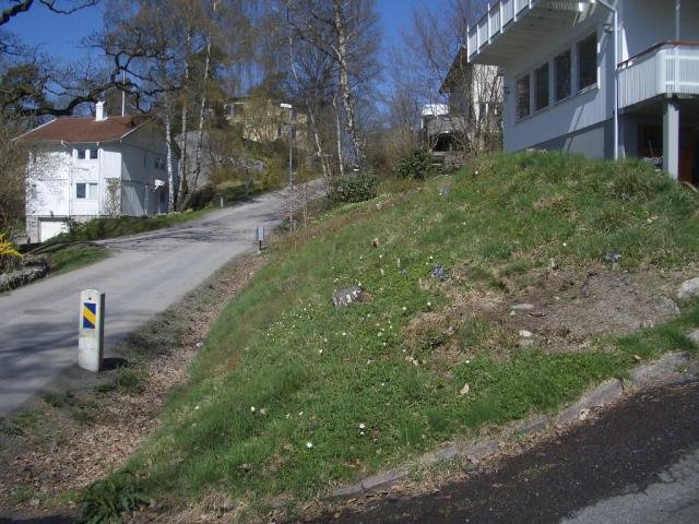IMGP2737.jpg