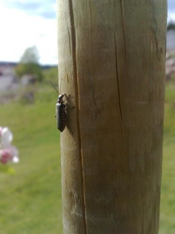 200905121397.jpg