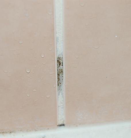DSC_0088.jpg
