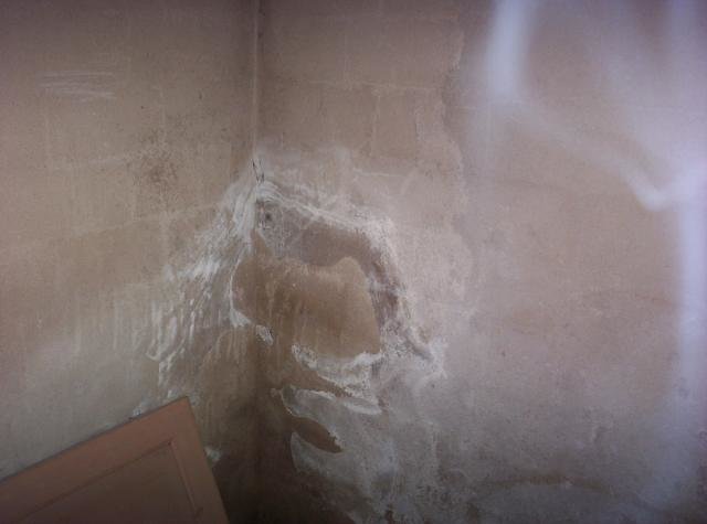 100_1373.jpg