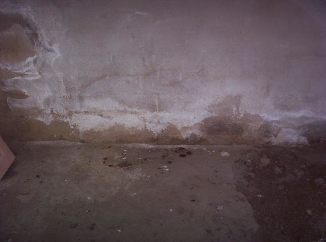 100_1374.jpg