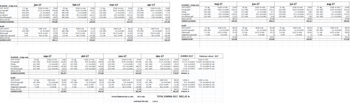 Excelark som visar en detaljerad sammanställning av elförbrukning och kostnader per månad under ett år.