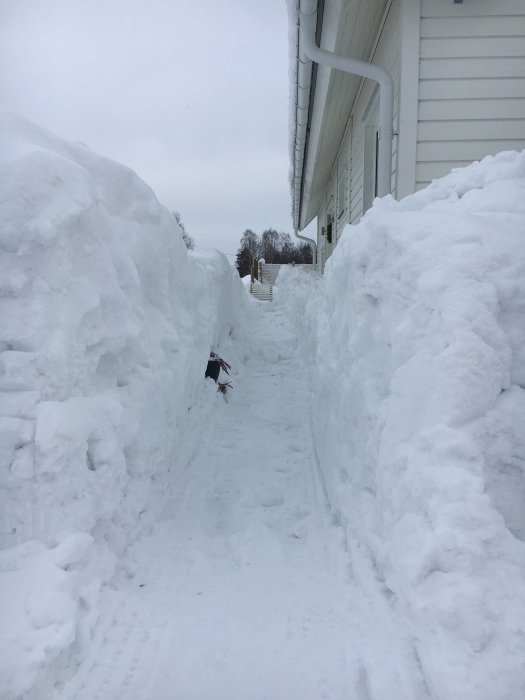 Snöskottad gång mellan höga snöväggar intill ett hus, person skymtar i bakgrunden.