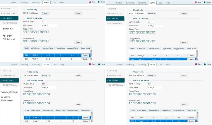 Skärmbild av nätverkskonfiguration för VLAN med inställningar och portar.