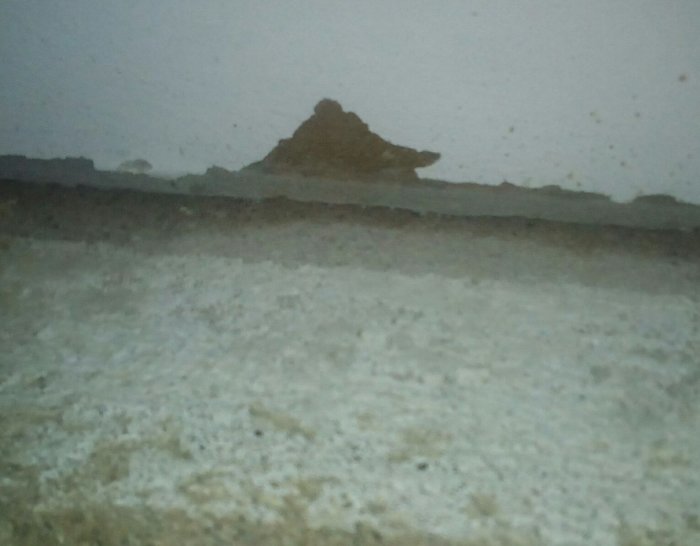 Närbild av en vägg där ett lager färg lossnat ovanför spännpapp.