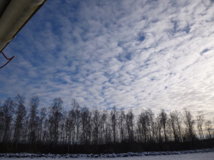 Vinterlandskap med snötäckt mark, vinterträd och molnig himmel med blått skymtande igenom.