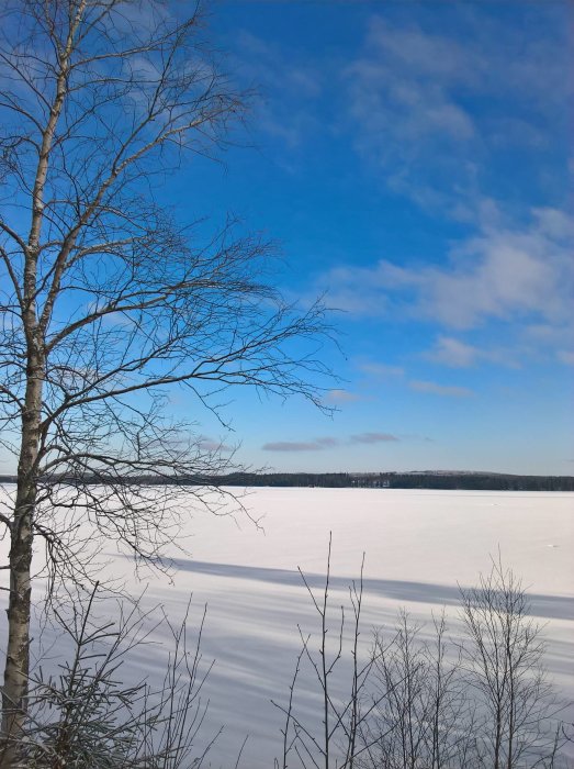 Vinterlandskap med snötäckt mark och isbelagd sjö under blå himmel, fläckvis med träd.