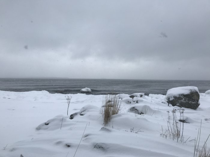 Snötäckt strand med havsutsikt och grå himmel, inget snöfall synligt.