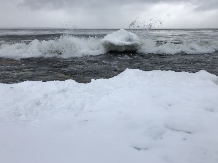 Snötäckt strand med vågor som bryter mot isflak, mulet väder över havet.