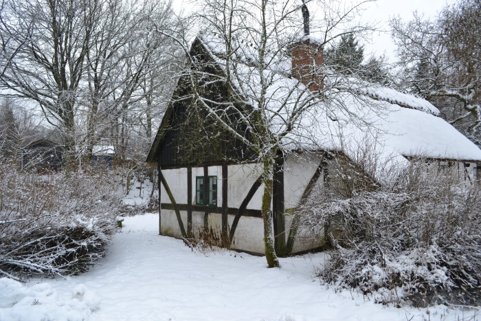 Gammalt korsvirkeshus med snötäckt tak och växtlighet i en snöig miljö.