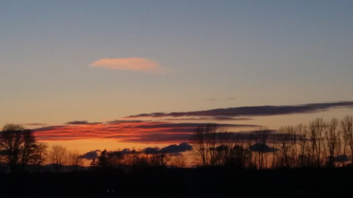 Dramatisk solnedgång med orange och röda skiftningar på himlen över silhuetter av träd.