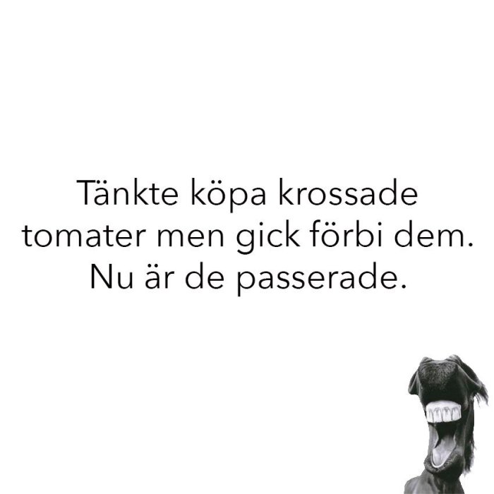 Textmeme med skämt om krossade tomater och passerade, med ett skrattande hästhuvud.