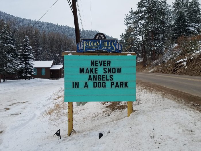 Humoristisk skylt med texten "NEVER MAKE SNOW ANGELS IN A DOG PARK" för snöigt landskap och väg.