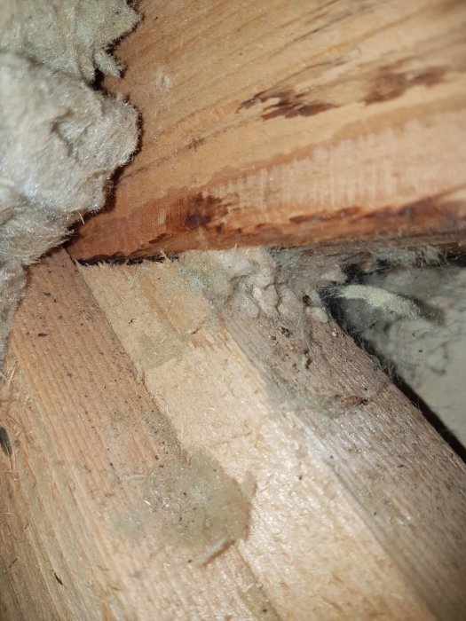 Sprött, torrt material som möjligen är skadad isolering, nära trädetaljer på en vind.