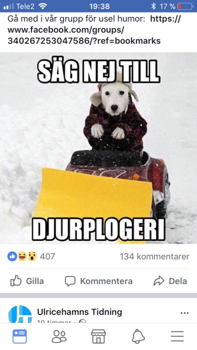 Hund iklädd tröja styr en leksakssnöplog med texten "Säg nej till djurplogeri".