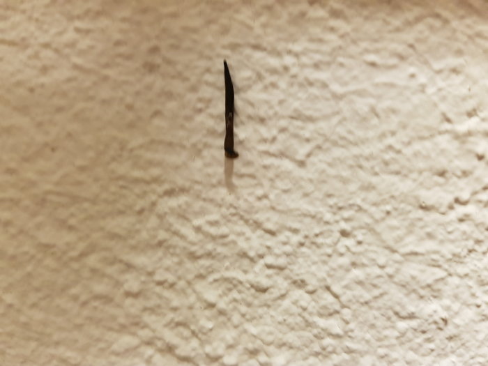 20180226_175745.jpg
