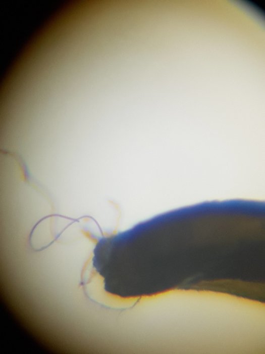 20180127_202801.jpg