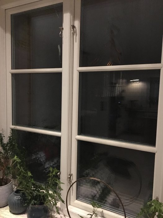 Vitkantade fönster sett inifrån med växter på fönsterbrädan och reflektion av interiör.