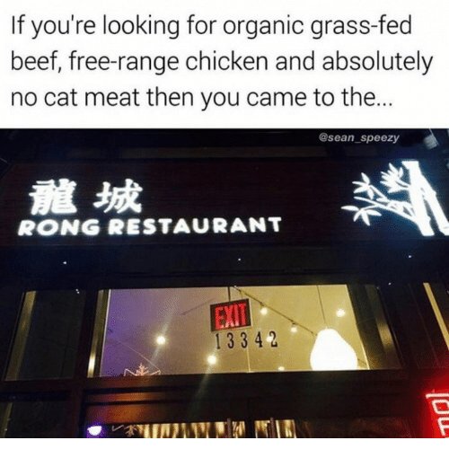 Skylt för "Rong Restaurant" med asiatiska tecken, EXIT-skylt, och komisk engelsk text ovanför.