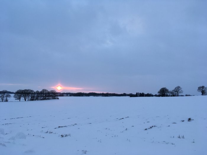 Vinterlandskap i Skåne med snötäckt mark och solnedgång i bakgrunden.